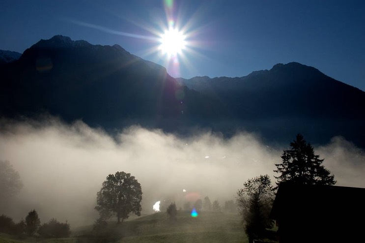 Blick in der Morgendämmerung