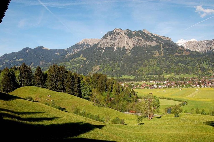 Blick zum Rubihorn (Sommer)